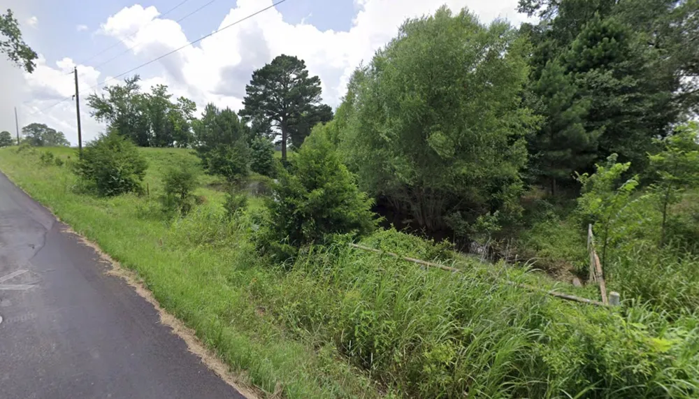 RS County Road 2450 Alba, TX 75410