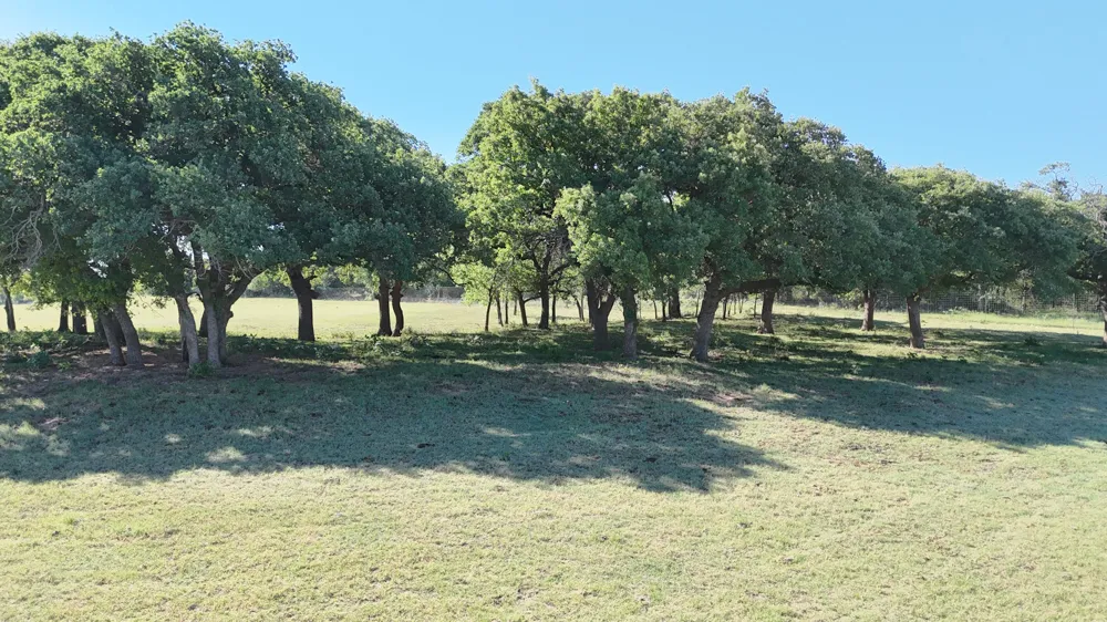 County Road 323 Comanche, TX 76442