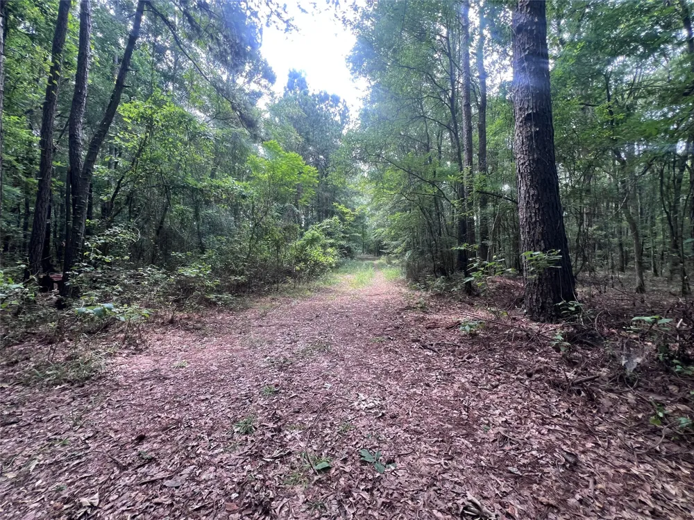3245 Old Plain Dealing Road Plain Dealing, LA 71064