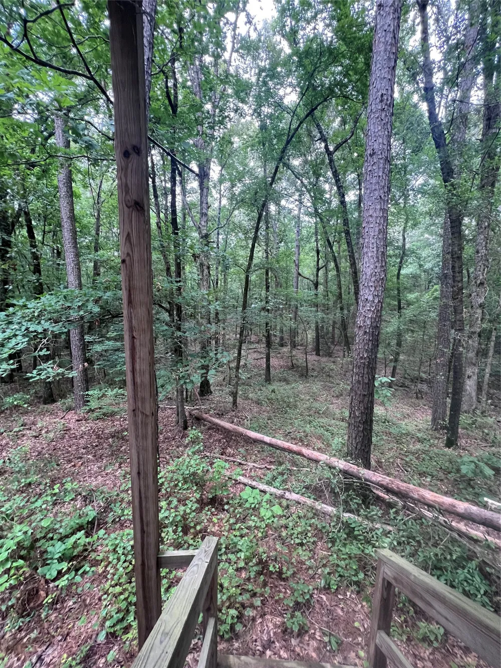 3245 Old Plain Dealing Road Plain Dealing, LA 71064