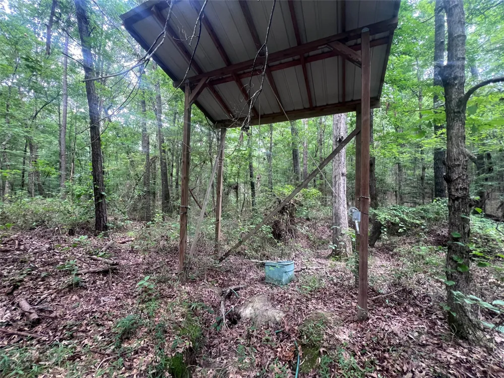 3245 Old Plain Dealing Road Plain Dealing, LA 71064