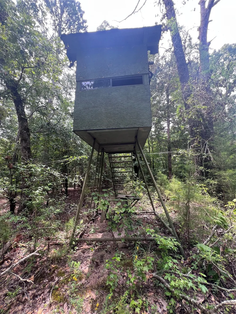 3245 Old Plain Dealing Road Plain Dealing, LA 71064