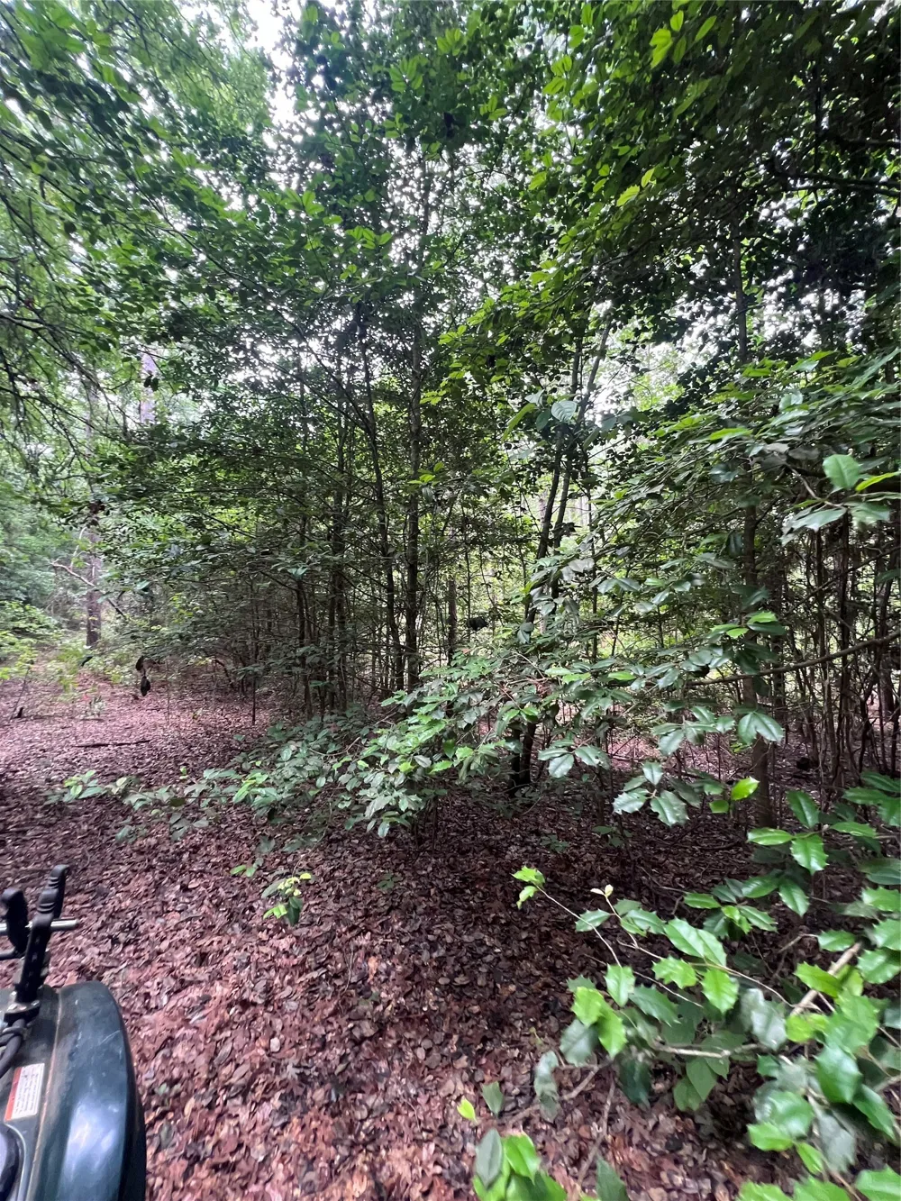 3245 Old Plain Dealing Road Plain Dealing, LA 71064
