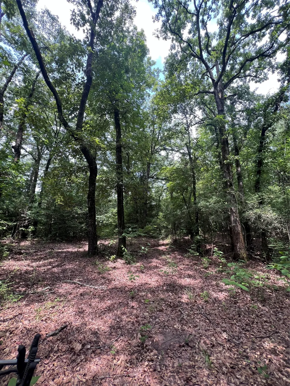 3245 Old Plain Dealing Road Plain Dealing, LA 71064
