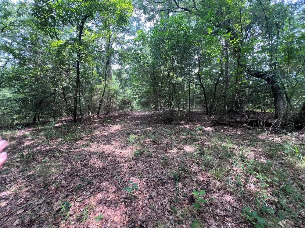 3245 Old Plain Dealing Road Plain Dealing, LA 71064