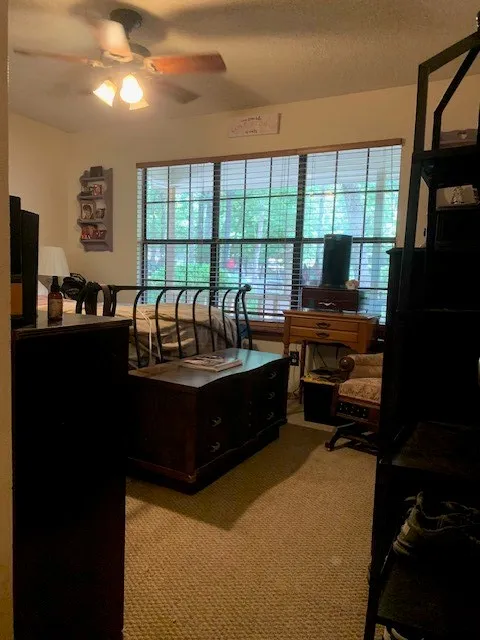 860 Wildwood Trail Holly Lake Ranch, TX 75765