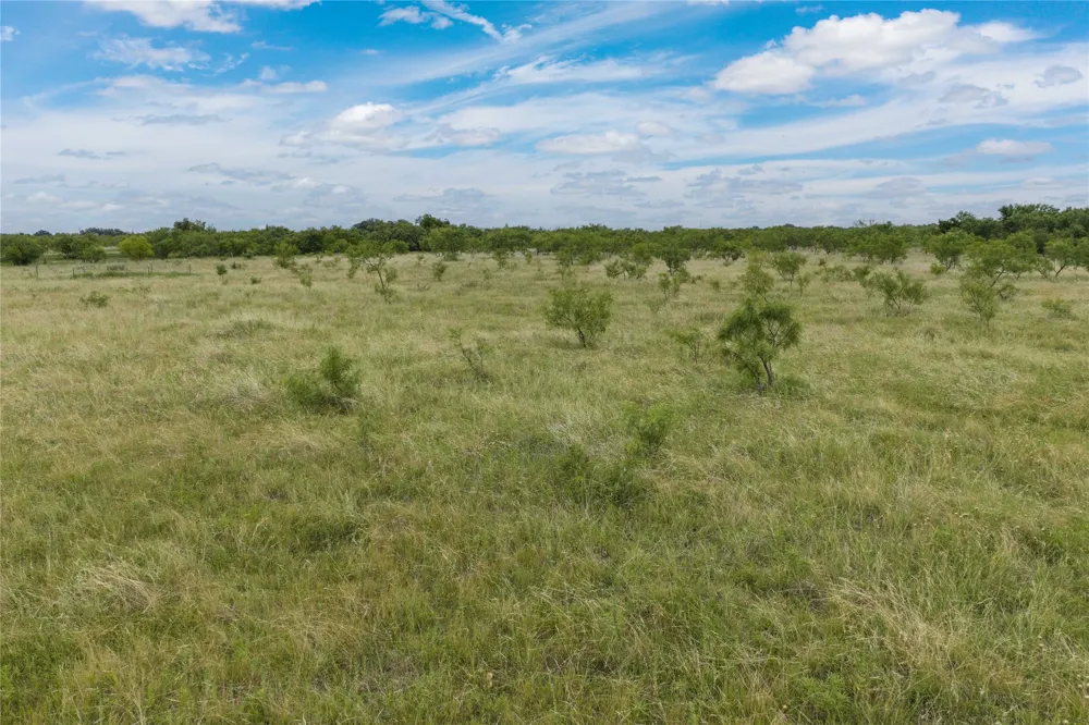 6000 Fm 586 S Bangs, TX 76823