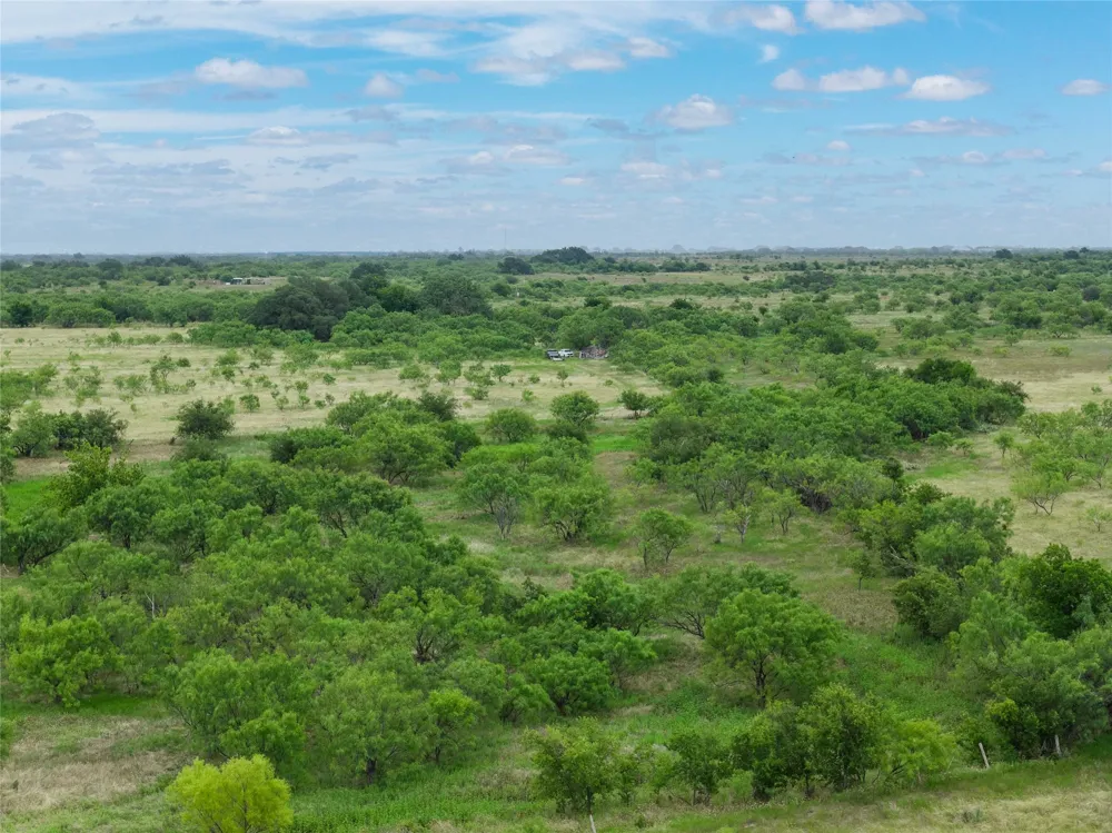 6000 Fm 586 S Bangs, TX 76823