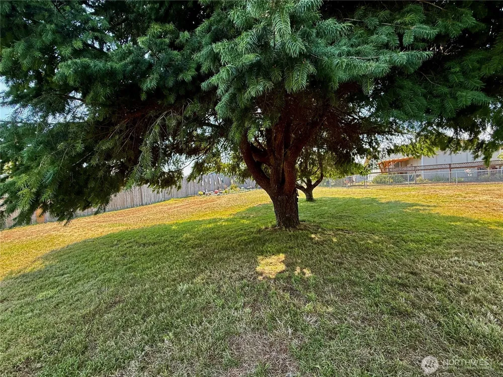201 W Seattle Avenue Westport, WA 98595