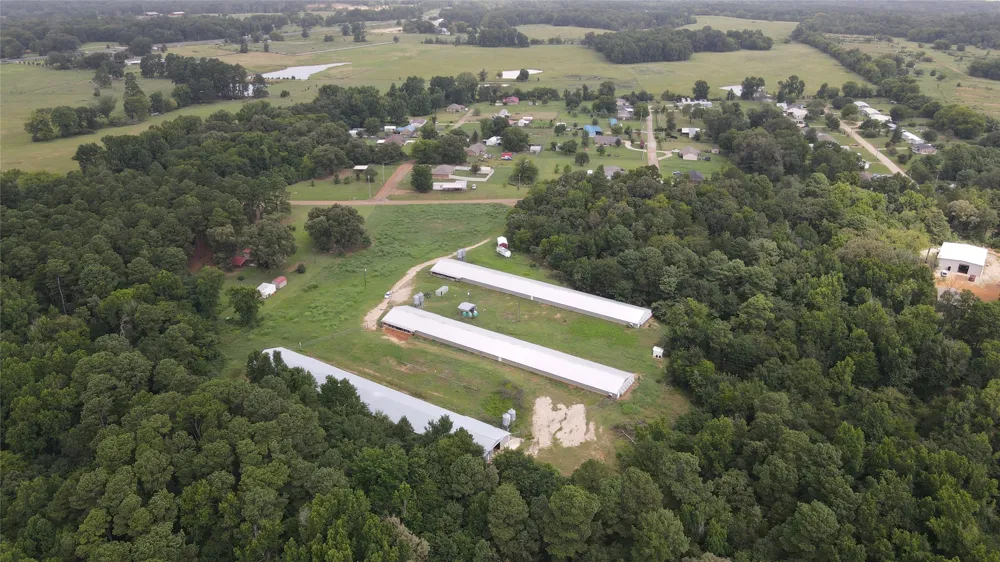 County Road 4114 Pittsburg, TX 75686