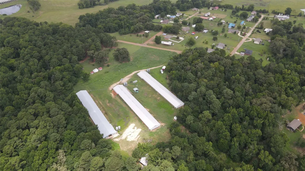 County Road 4114 Pittsburg, TX 75686