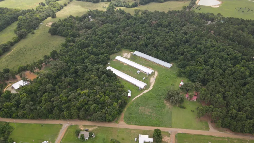 County Road 4114 Pittsburg, TX 75686