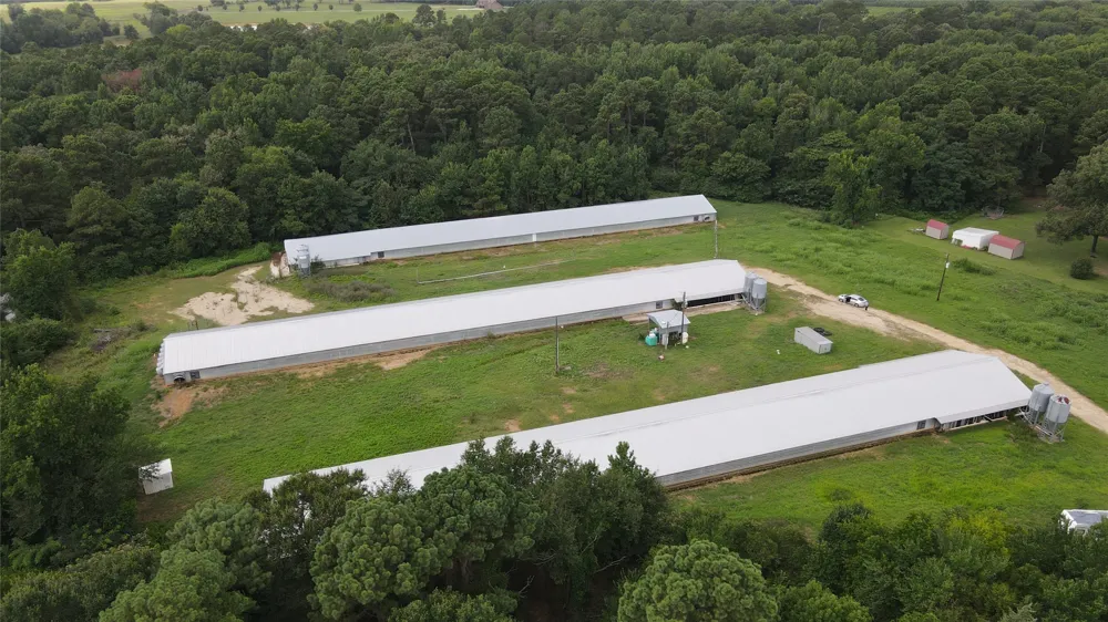 County Road 4114 Pittsburg, TX 75686