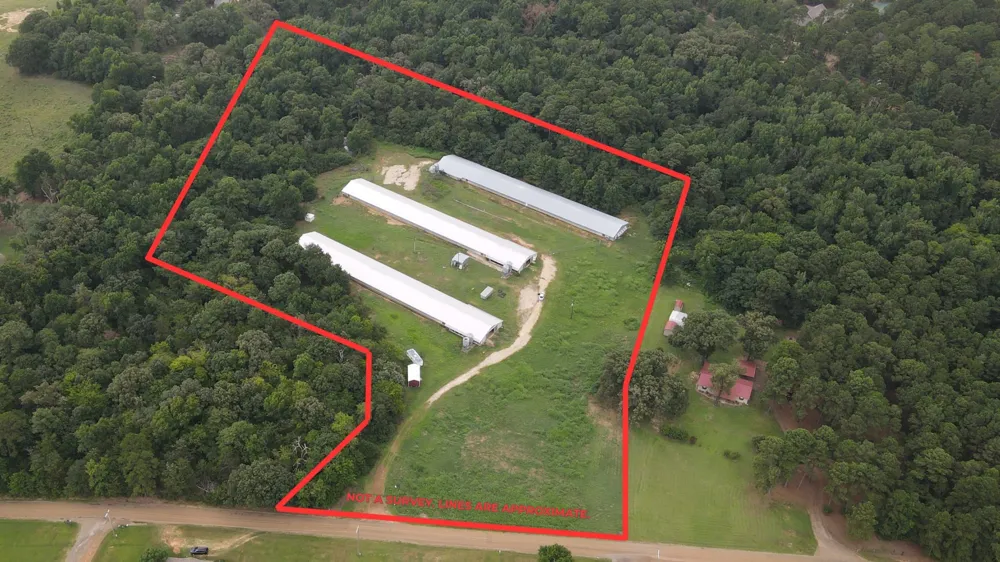 County Road 4114 Pittsburg, TX 75686