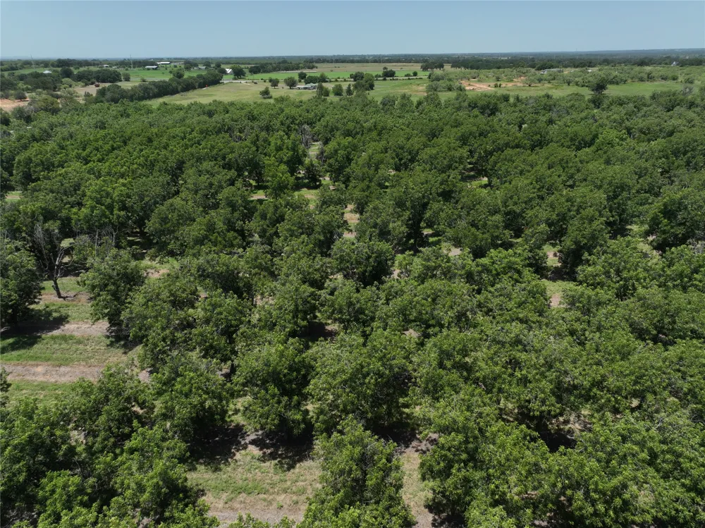 CR 426 Comanche, TX 76442