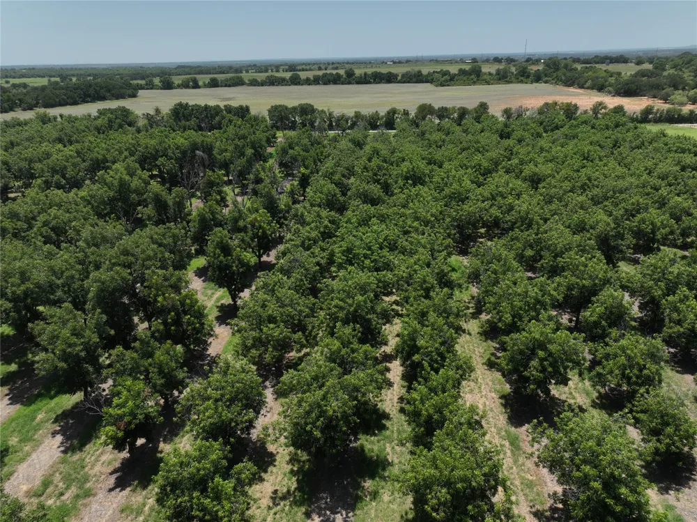 CR 426 Comanche, TX 76442