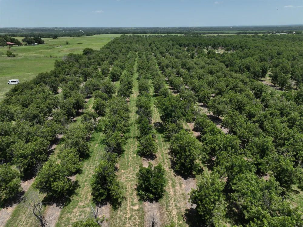 CR 426 Comanche, TX 76442