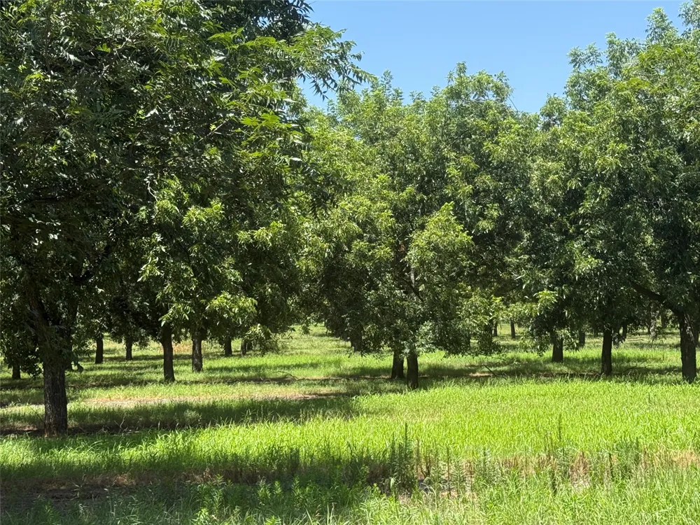 CR 426 Comanche, TX 76442
