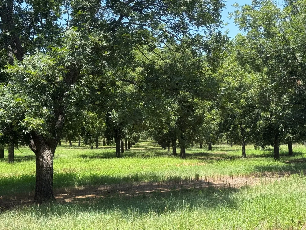 CR 426 Comanche, TX 76442
