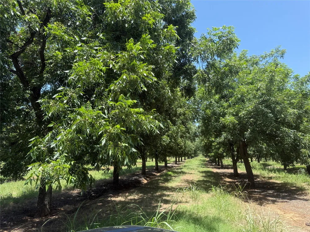 CR 426 Comanche, TX 76442