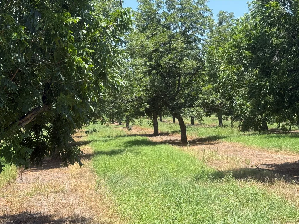CR 426 Comanche, TX 76442
