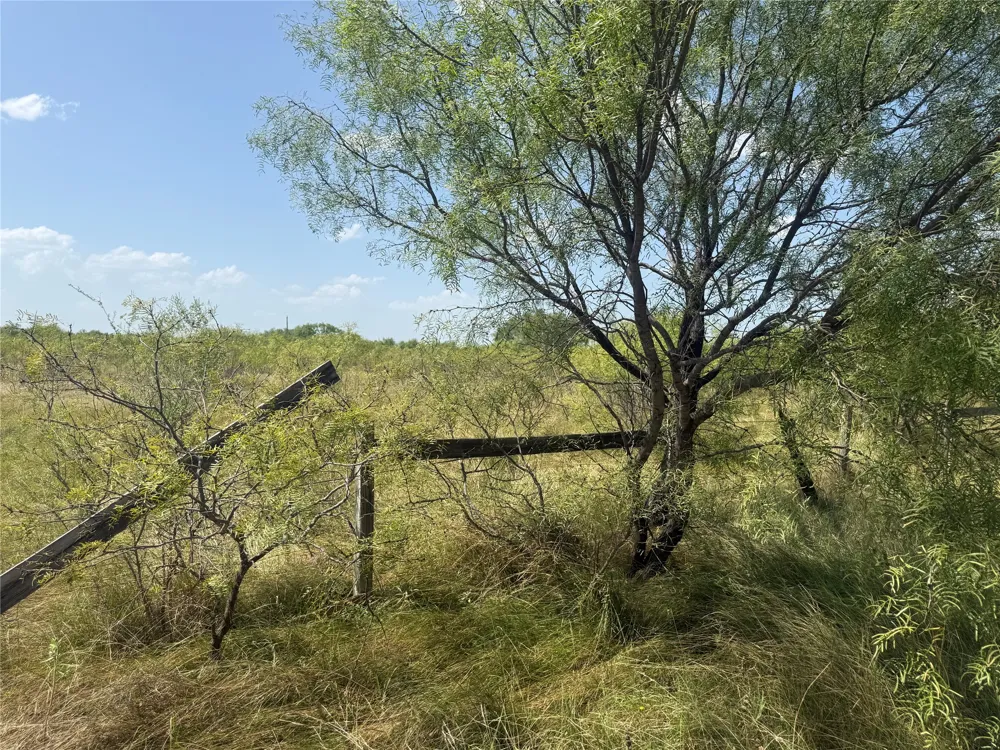 140 Arapaho Road Brownwood, TX 76801