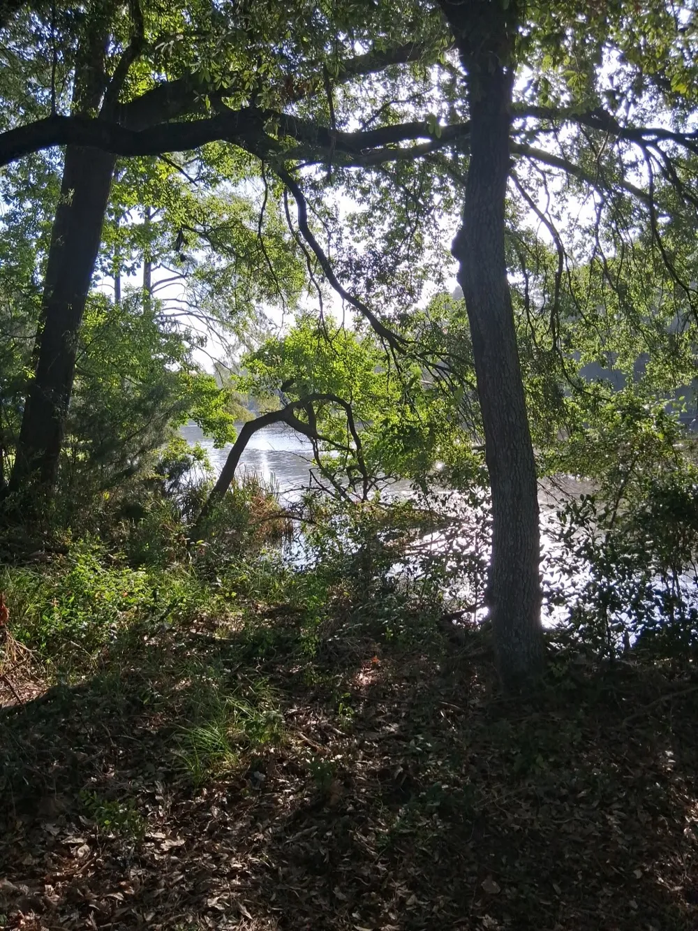 1337 Washington Street Natchitoches, LA 71457