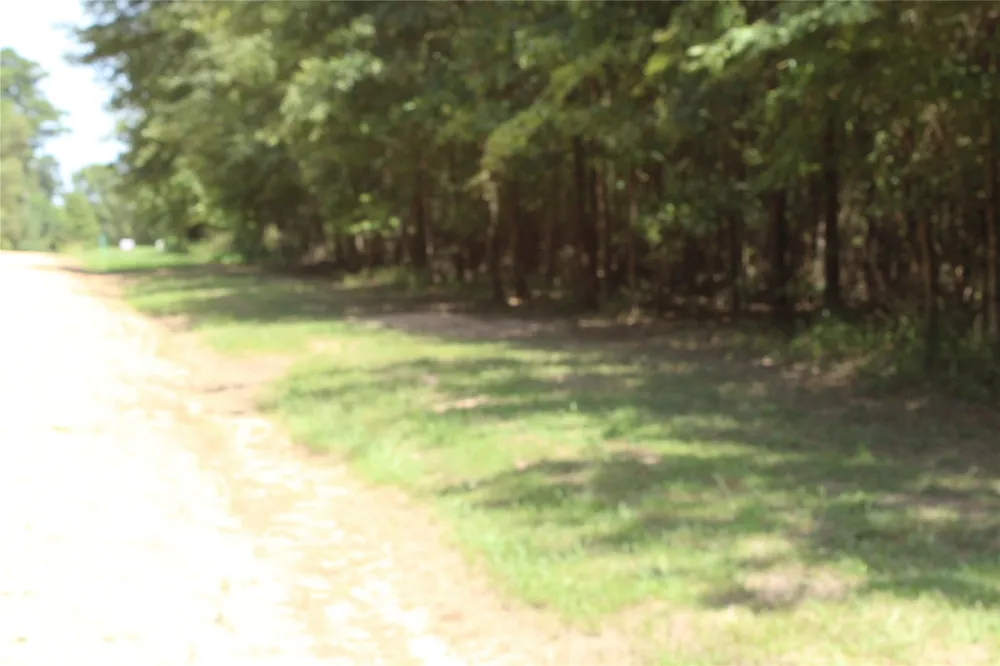 Eagle View Drive Lewisville, AR 71845
