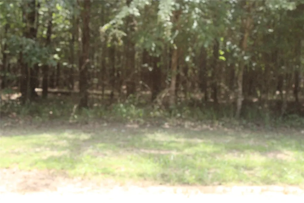 Eagle View Drive Lewisville, AR 71845