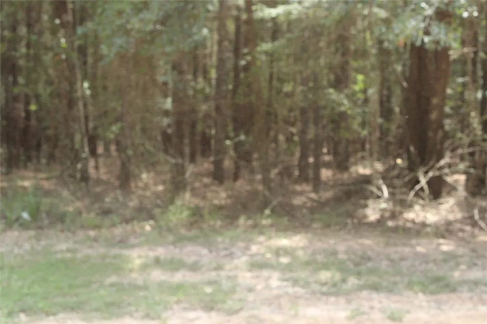 Eagle View Drive Lewisville, AR 71845