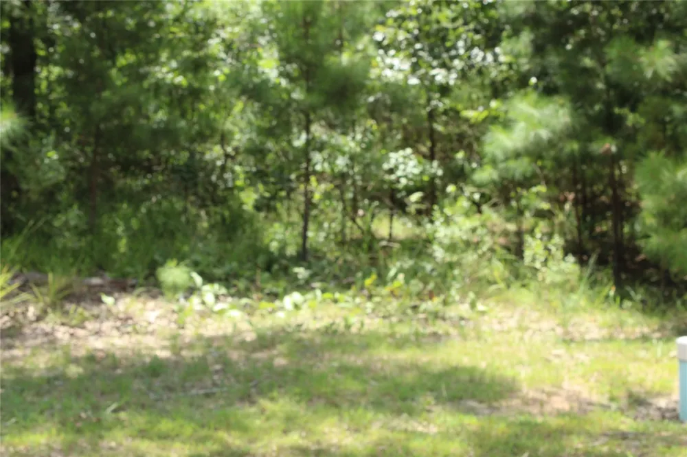Eagle View Drive Lewisville, AR 71845