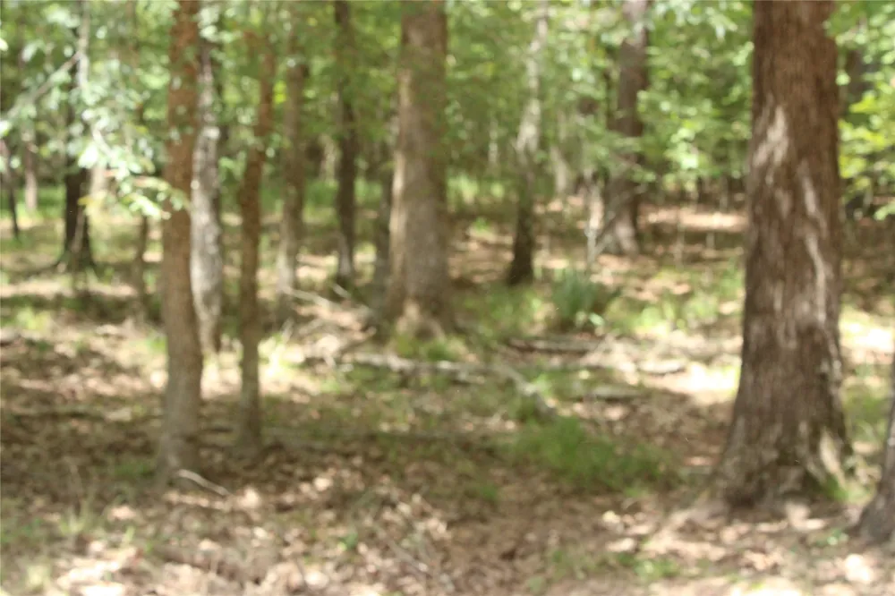 Eagle View Drive Lewisville, AR 71845