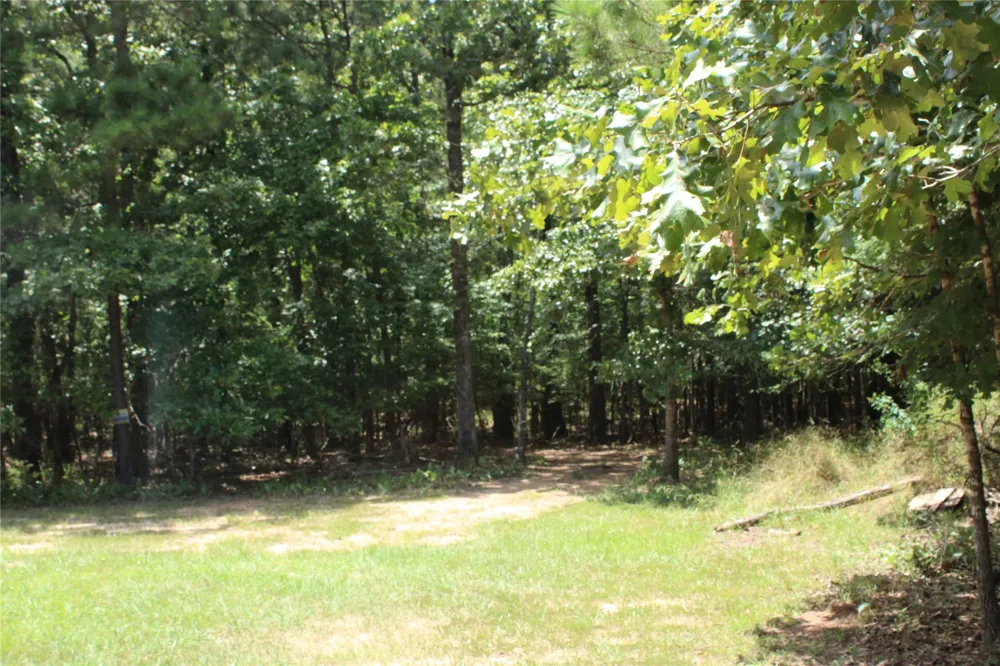 Eagle View Drive Lewisville, AR 71845