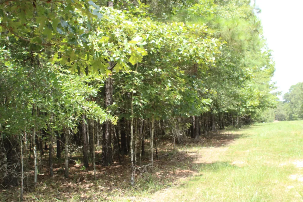Eagle View Drive Lewisville, AR 71845