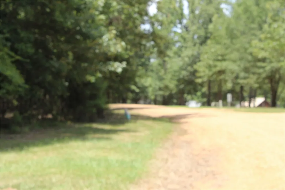 Eagle View Drive Lewisville, AR 71845