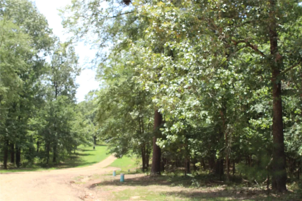 Eagle View Drive Lewisville, AR 71845