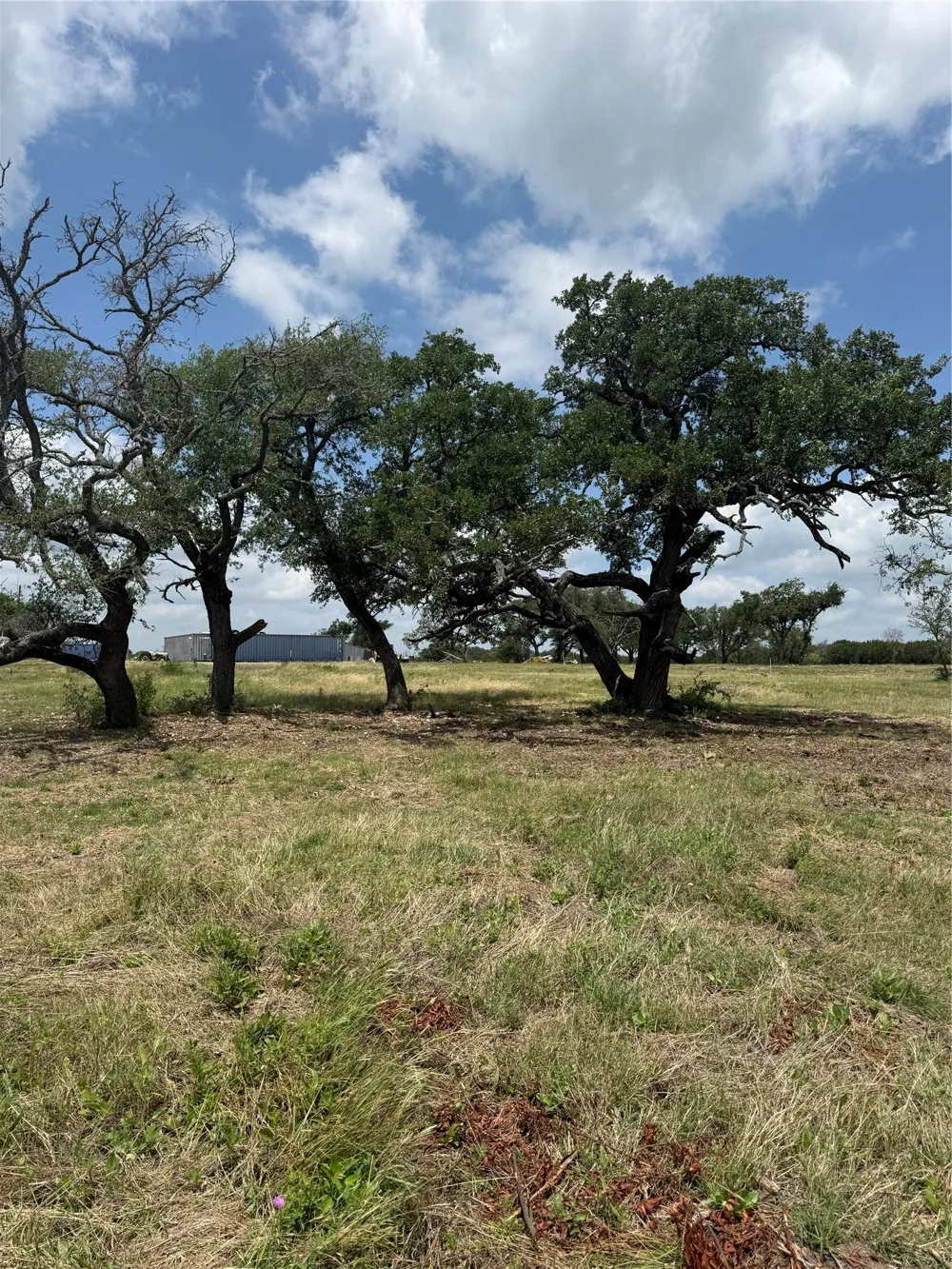 3905 Fm 2942 Lometa, TX 76853