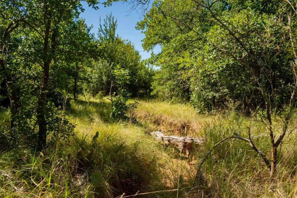 Nash Road Jacksboro, TX 76458