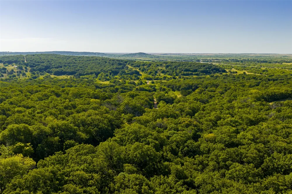 Nash Road Jacksboro, TX 76458