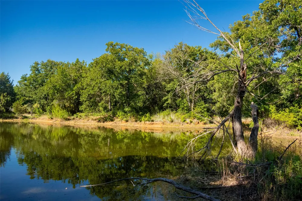 Nash Road Jacksboro, TX 76458