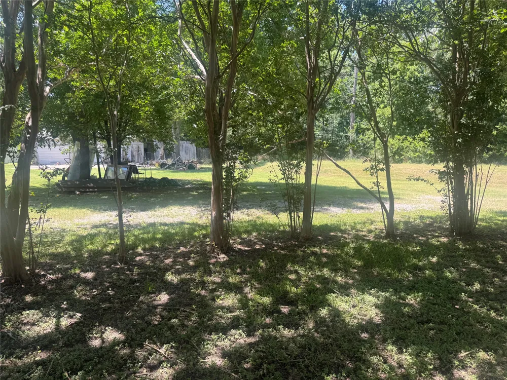 4205 Hickory Tree Road Balch Springs, TX 75180