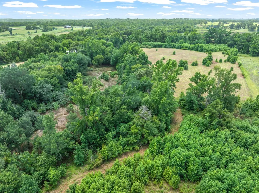 4900 FM 2909 Canton, TX 75103