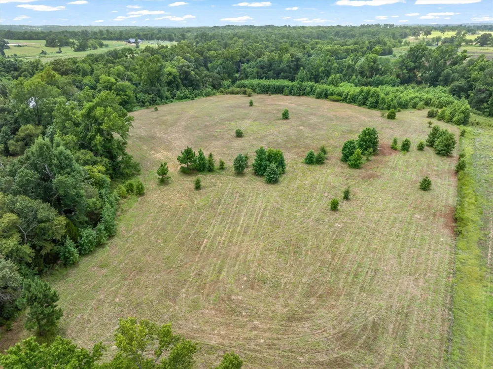 4900 FM 2909 Canton, TX 75103