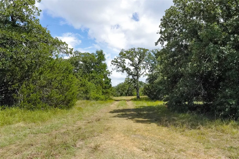 157 Nash Road Jacksboro, TX 76458
