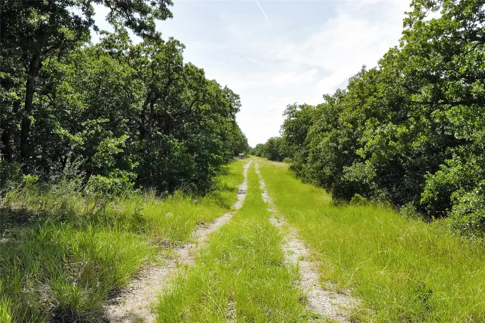 157 Nash Road Jacksboro, TX 76458