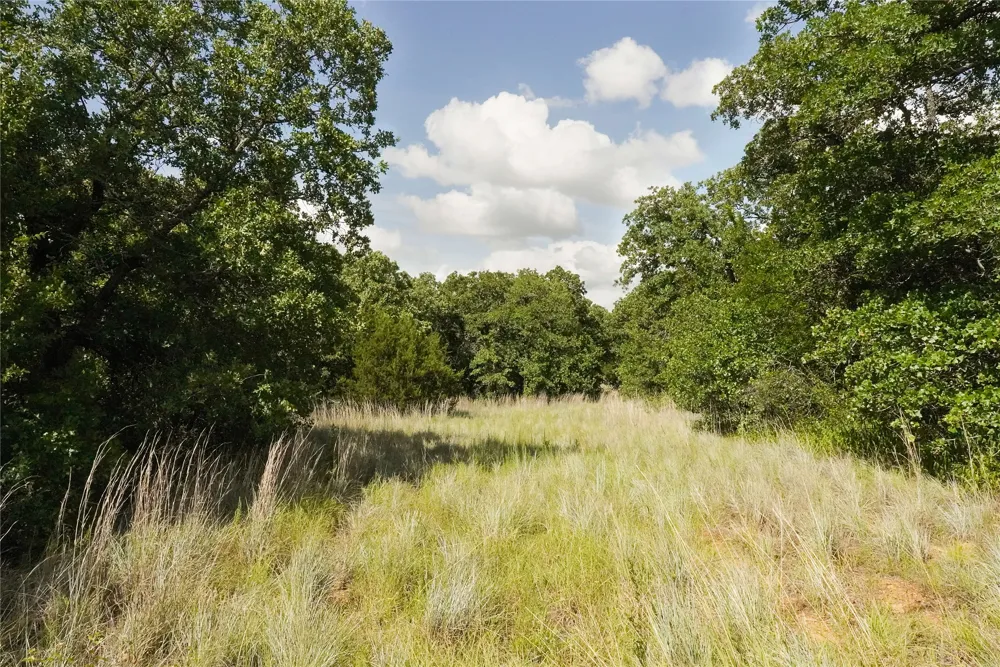 157 Nash Road Jacksboro, TX 76458