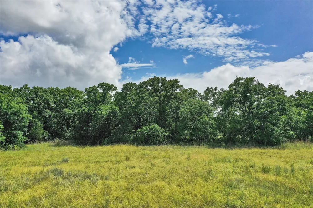 157 Nash Road Jacksboro, TX 76458