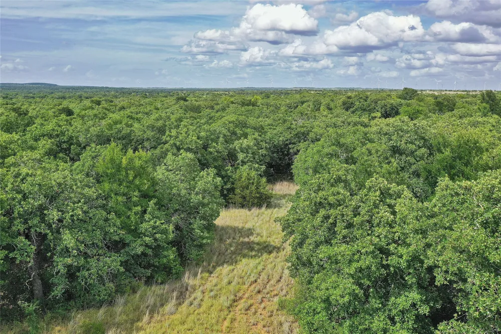 157 Nash Road Jacksboro, TX 76458