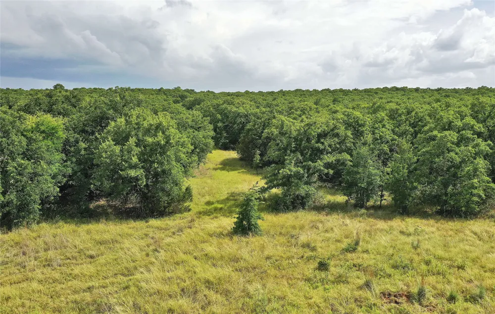 157 Nash Road Jacksboro, TX 76458