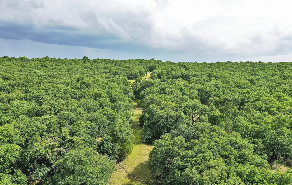 157 Nash Road Jacksboro, TX 76458
